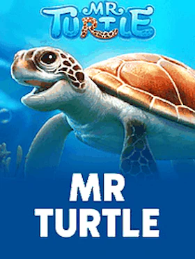 Mr Turtle